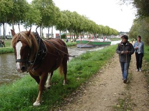 Halage d'un chaland nantais &agrave; saint Nicolas de Redon