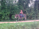 Elise et la mule de Vincent